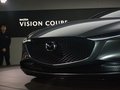 VISION COUPE 图片