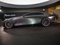 VISION COUPE 图片