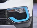 猎豹CS9新能源 图片