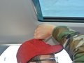 柯珞克 图片
