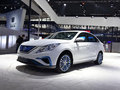 風(fēng)行S50EV 圖片