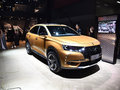 DS 7 图片