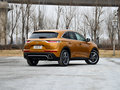 DS 7 图片