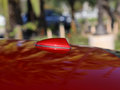 日產(chǎn) Altima 圖片