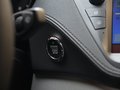 福睿斯 图片