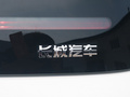 歐拉白貓 圖片