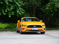 Mustang 图片