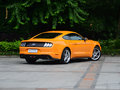 Mustang 圖片