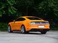 Mustang 图片