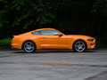 Mustang 图片