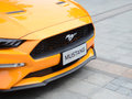 Mustang 圖片