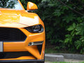 Mustang 圖片