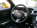 Mustang 图片