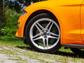 Mustang 圖片