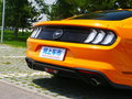 Mustang 圖片