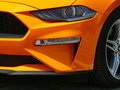 Mustang 图片