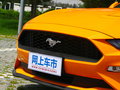 Mustang 图片