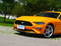 Mustang 图片