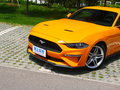 Mustang 圖片