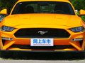 Mustang 图片