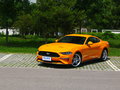 Mustang 图片