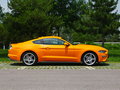 Mustang 图片