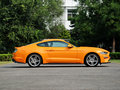Mustang 图片