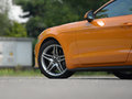 Mustang 圖片