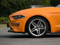 Mustang 图片