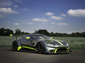 Vantage GT3 图片