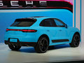Macan 圖片