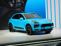 Macan 圖片