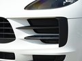 Macan 圖片