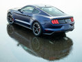 Mustang 图片