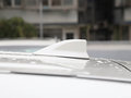 RAV4榮放 圖片