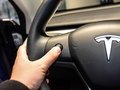 MODEL 3 (進(jìn)口) 圖片