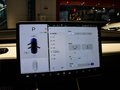 MODEL 3 (进口) 图片