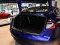 MODEL 3 (进口) 图片
