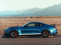 Mustang 图片