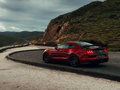 Mustang 图片