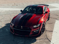 Mustang 图片
