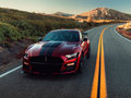 Mustang 图片