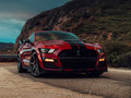 Mustang 图片