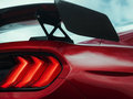 Mustang 图片