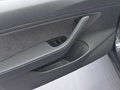 MODEL 3 (进口) 图片