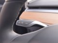 MODEL 3 (进口) 图片