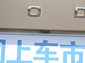 柯迪亚克 图片