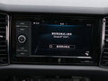 柯迪亞克 圖片
