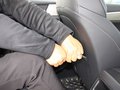 秦Pro 图片