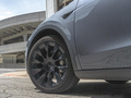 Model Y 图片